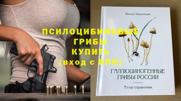 сатива Бугульма