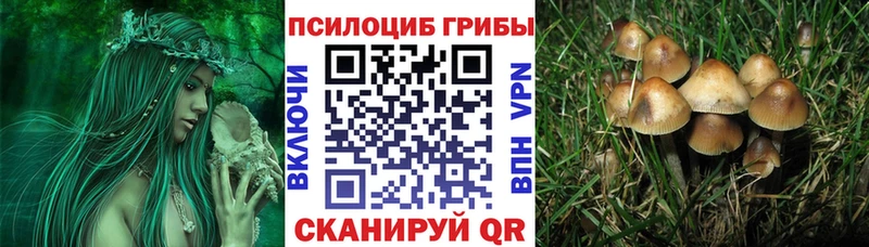 Псилоцибиновые грибы GOLDEN TEACHER  Дзержинский 